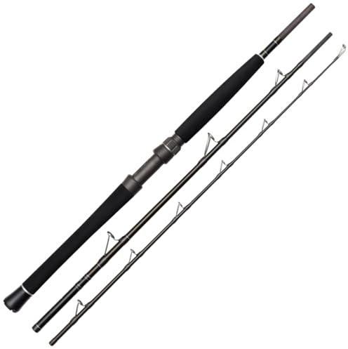 Westin W2 Boat 7 tum/210 cm XH 150–400 g – spinnspö, båtspö, djupsjörång, tung spö för djuphavsfiske