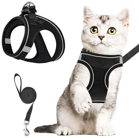 Katzengeschirr mit Leine, Verstellbares Katzengeschirr Ausbruchsicher, Katzenleine mit Geschirr für Katzen, Weichem Innenfutter Und Atmungsaktivem Mesh, Reflektierend Geschirr Set