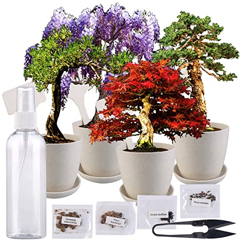 Royal Gardineer Bonsai Set: Bonsai-Anzuchtset, 4 Arten, Töpfe, Untersetzer, Clipper, Sprühflasche (Anzucht, Mini Gewächshaus)