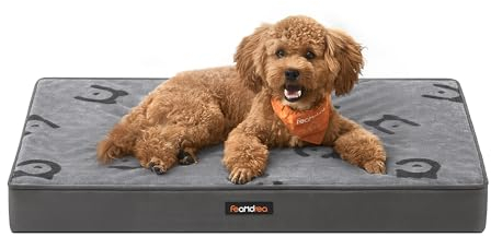 Feandrea Hundebett, Hundekissen waschbar, Hundematte abnehmbar, wasserdicht, 76 x 51 x 8 cm, Größe M, für kleine und Minihunde, Taubengrau PGW241G01