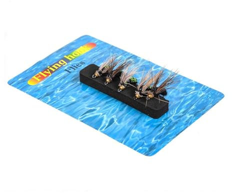 Fliegenhaken, Köder zum Fliegenfischen - Forellenfliegenköder | 5 Stück Nymphen Trockenfliegen/Nassköder Angelköder Kunstköder für Forelle Barsch Lachs