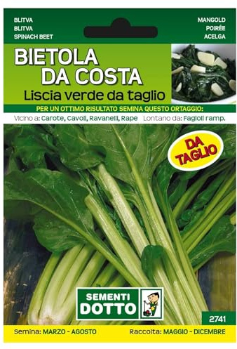 Sicignano Semi Bietola da Costa Liscia Verde da Taglio - Pianta Precoce, Foglie Verdi con Costa Chiara, Busta Extra - 2 Confezione da 13g, Semina Marzo-Agosto, Raccolta Maggio-Dicembre