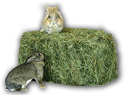 Heu 15kg Heu-Scheune® 1.Schnitt Heuballen Futter Kaninchen Meerschweinchen Hase