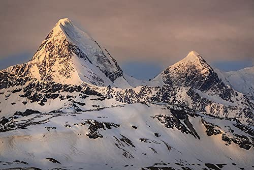 ArtExpert Antarctica-South Georgia Island-St Andrews Bay Spring sunrise on mountain by Jaynes Gallery - 18x12 Art Print Poster