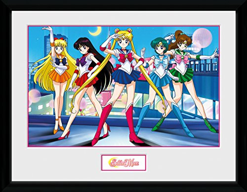 GB eye Sailor Moon Group 30 x 40cm Framed Collector Print