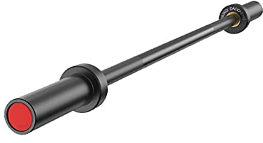 GEREP 120cm Kurzhantelstange Hantelstange Langhantelstange Rutschfester Griff für Sport Workout Training Gym/Schwarz/Straight