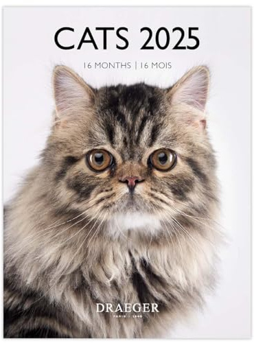 Calendario de pared pequeño 14 x 18 cm 2025 - Septiembre 2024 a diciembre de 2025 - Gatos