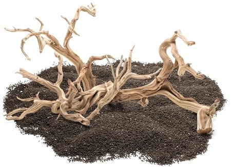 SubstrateSource Natural Aquarium Driftwood for Fish Tanks, Terrarium, Reptile Habitats, Freshwater Aquatic Decor - Small to Large Pieces (Ghost Wood (Large) 18-26, 1 Piece)
