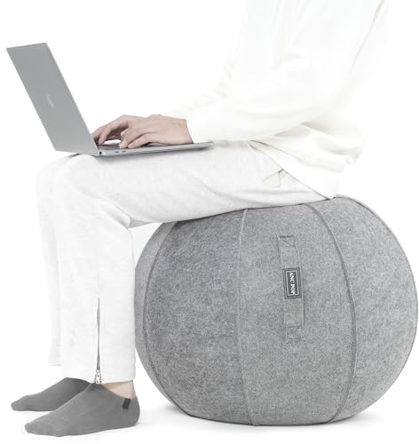 ANC POP Yoga Ball Exercise Ball, Anti Slip Stability Ball Chair, 25” Heavy Duty Large Gym Ball for Fitness, Balance and Core Workout with Cover, Easy Clean