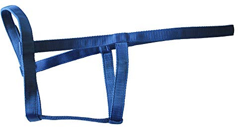 Rhinegold Field Safe Headcollar-Cob-Turquoise