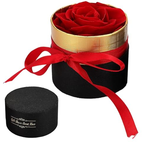 Ewige Rosen, Rosenbox mit Konservierte Blumen, Infinity Rose Echte Rosen Konservierte Rosen Handgemacht, Geschenk für Mama Frau Freundin Frauen Wedding Dekor Muttertag Geburtstag Valentinstag (Rot)