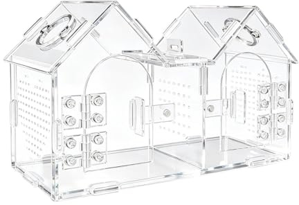 Hoppspindel Terrarier Transparent tank för reptil | Gecko Habitat Bur för skorpioner, geckos, bönsyrsor, grodor, spindlar, tarantulor; användbar i vardagsrum, kontor, och under