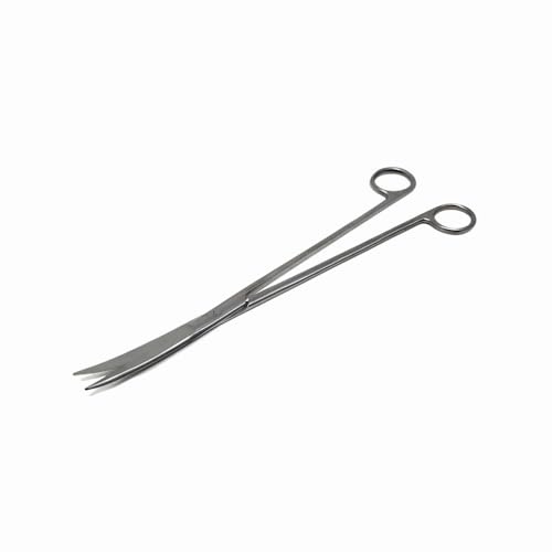 Aquarium Scissors Stainless Steel 12 Extra Long Water Grass Scissors for Aquatic Plants Pruning, Fish Tanks, Terrariums Used in Salt Water Fresh Water Landscape Maintenance Tools (Curved - Silver)
