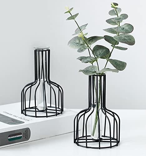 2 Pcs Black Flower Vase with Metal Frame, Clear Glass Test Tube Vases, Small Bud Vases for Wedding Decoration, Table Decoration