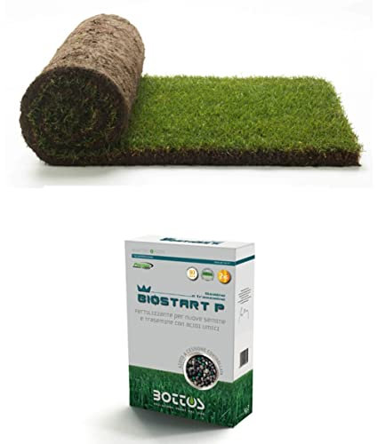 Prato pronto a rotoli in erba vera - 20 mq + Fertilizzante Bottos Biostart P (20 mq)