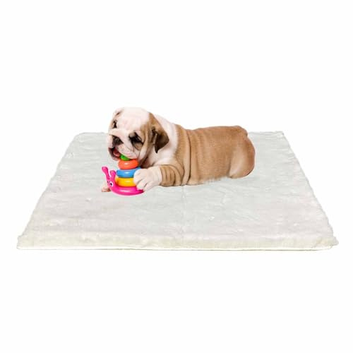 Ostlttyn Hundebett Mittelgroße Hunde - 76x54cm Hundekissen Flauschig Hundematte Waschbar Hundematratze Für Fleine Hunde rutschfeste Unterseite, Beige