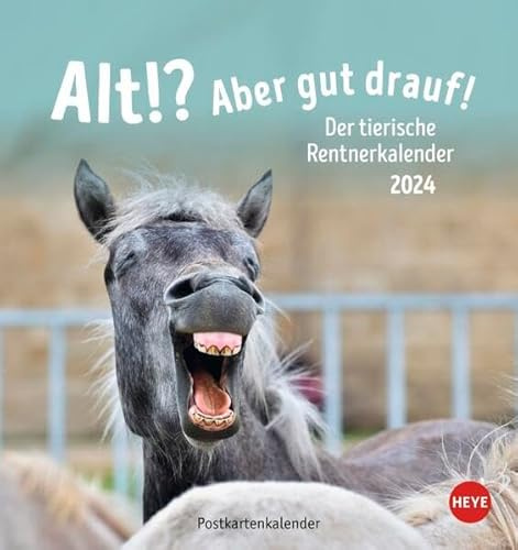 Calendario de postales 2024. Divertido calendario para jubilados y personas mayores con divertidas fotos de animales y refranes en formato postal Sonrisas: el calendario de jubilados de animales