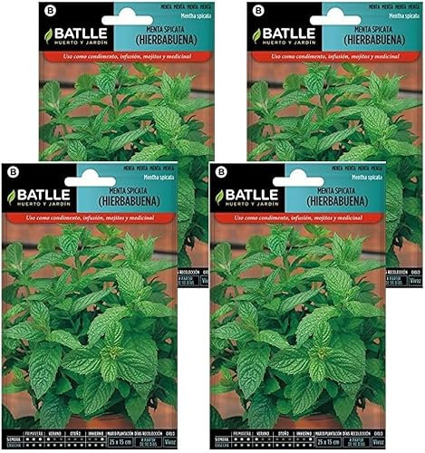Semillas de hierbabuena menta spicata Semillas Batlle PACK (4)