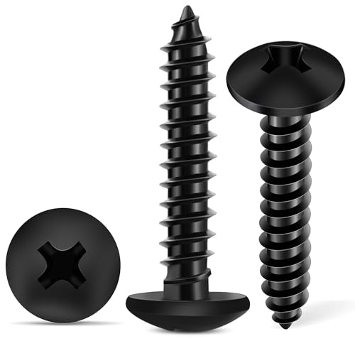 100 Pezzi 4 x 20 mm Nero Croce PH-2 Vite universale, Testa Lente Svasata in Acciaio inox A2 (304), Vite per legno Coda a punta - TPOHH