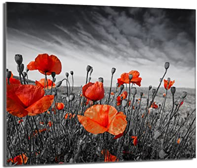 DarHaus Plaque de recouvrement, 60 x 52 cm, en verre, pour cuisinières électrique, à induction, convient comme décoration, protection anti-éclaboussures ou planche à découper, Coquelicots Rouge