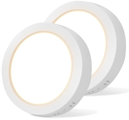 Aigostar Lámpara de Techo LED 12W 1300LM Plafón LED Techo luz blanco calida 3000K para Cocina Sala de Estar Dormitorio Pasillo 174 * 35Hmm, 2pcs