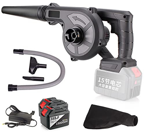 RUHEN Aspirateur à Feuilles électrique 2 en 1 sans Fil 21 V avec Batterie 5,4 Ah et Chargeur, à Vitesse Variable