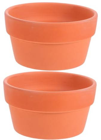 FONDOTIN Set 2 Vasi di Terracotta per Piante Grasse con Foro di Drenaggio, Materiali in Argilla Arancia per Giardino Interno, Stimola la Crescita delle Radici e Favorisce Circolazione