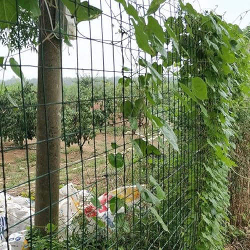 HGOuhK Valla para jardín Malla metálica, Rollos de Malla metálica galvanizada, Cerca for gallinas y Animales. Valla metálica(1.2x30m)
