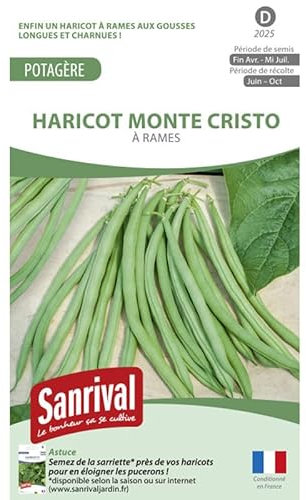 Graines Haricot à rames Monte Cristo