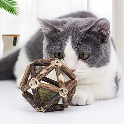 Yctze Premium kattgräs i trä med silvervinstockar - tandstensborttagning, förbättrad aptit, tandslipning och rolig tuggleksak för katter och kattungar -