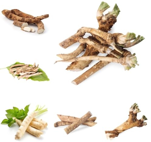 Semi di rafano, da giardino roccioso resistenti semi di medicinali giardino sul balcone prodotti sostenibili balcone con aiuola di rare 400pcs