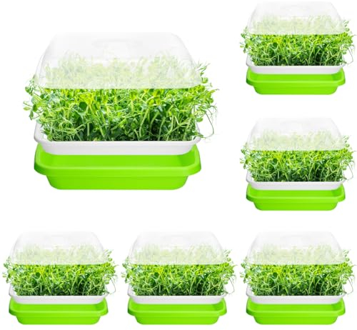 QWORK® 6 Pezzi Germinatore per Semi, Vassoi per Semi con Coperchio, Vassoio Germinazione, per Fagioli Mung, Erba Medica, Erba di Grano