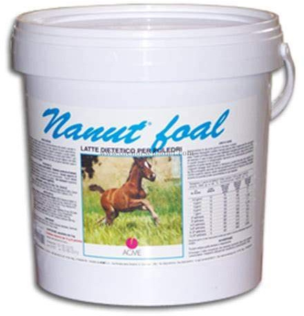NANUT FOAL ACME KG 10