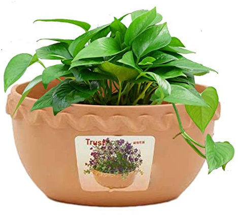 PW TOOLS Vaso per la conservazione del Tubo da Giardino - Fioriera con drenaggio - Vaso per pomodori Si appende Facilmente a Forma di Pizzo in Argilla con griglia di infiltrazione in Stile Pizzo