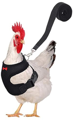 Câble de poulet réglable, câble de poulet réglable et gilet pour poules, petit faisceau de câbles pour animaux de compagnie pour poules de canard, entraînement des canards - Fournitures de randonnée