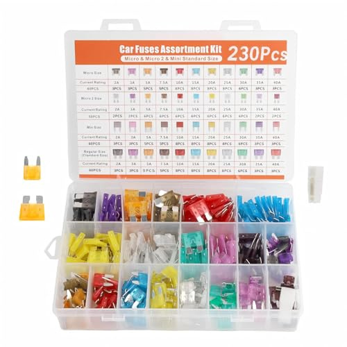 Juego de 230 fusibles para automóvil: 60 fusibles estándar, 60 mini fusibles planos, 60 microfusibles, 50 micro2 fusibles de coche, para autocaravanas/camiones (2 A, 3 A, 5 A, 7,5 A, 10 A, 15 A, 20 A