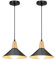LIGKIN 2 Piezas Lámpara Colgante Industrial Moderna Ø25cm Pantalla Metal Madera Lámpara de Techo Retro E27 Iluminación para Cocina Comedor Cafetería, Negro