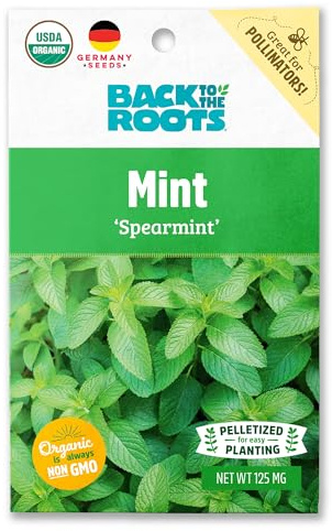 Back to The Roots 100% Organic Seed Packet - Spearmint