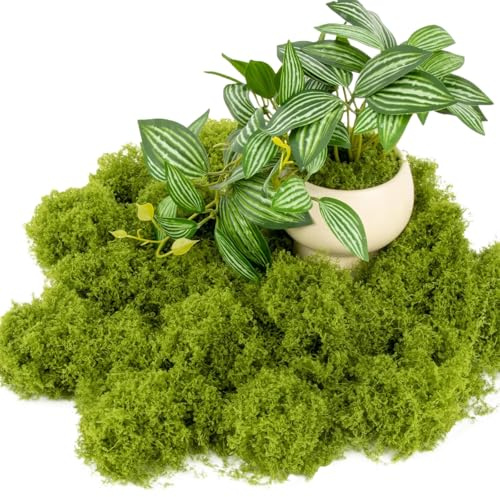 YSAOAKA 50g Muschio Stabilizzato, Muschio Finto per decorativo, finto lichene per decorazioni, modellismo, terrario, paret, Verde Chiaro