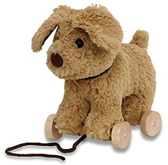 Little Bird Told Me Dexter Dog Pull Along Toy for Baby 6+ Months