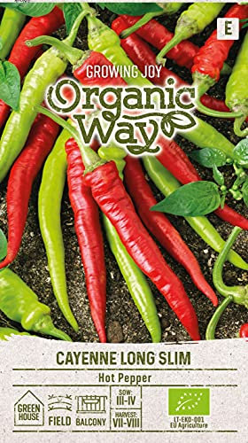 Organic Way | PIMENT DE CAYENNE LONG SLIM des graines | Graines de légumes | 1 Paquet