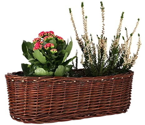 KOTARBAU® Übertopf aus Weide Flechtwaren Blumentopf Oval für Blumen Pflanzen Naturkorb 40 cm Blumenkasten Rattan Flechtkorb
