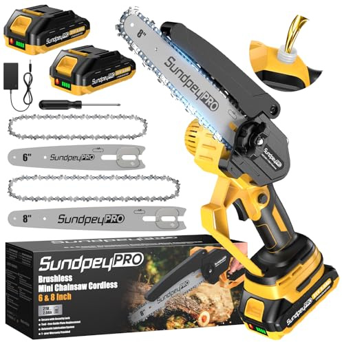 Mini Motosega a Batteria 8/6 Pollici - Brushless Mini Sega a Batteria da 2 * 2.0Ah per Potatura, Lubrificazione, Tensione Catena Senza Attrezzi, 900W, Motosega Elettrica per Taglio di Legno