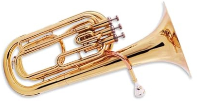 Professional Euphonium Tenor Horn Euphonium B Flat Major Beginner Playing(1)