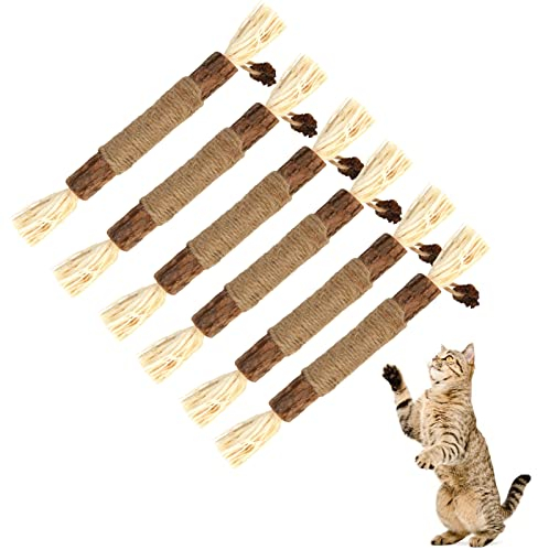 tao pipe 6 Stück Katzenminze Sticks, Katzen Sticks Matatabi Kausticks Interaktives Katzenspielzeug, Katzen Kauhölzer Silvervine Sticks zur Katzen Zahnpflege und Gegen Mundgeruch