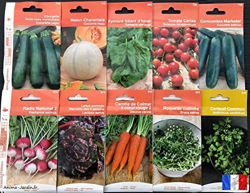Lot de 10 sachets de graines différents, Courgette, Melon, Tomate, Radis, Carotte, français, économique, pas cher…