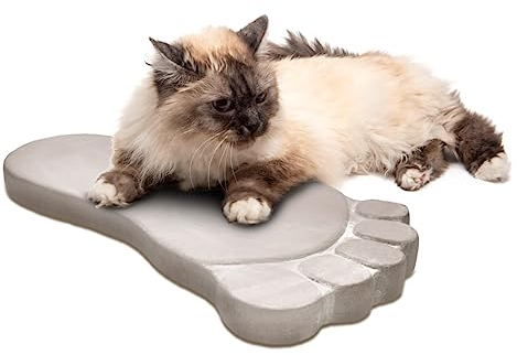 matches21 HOME & HOBBY Trittsteine Fuß für Garten und Gehwege - 8 Trittplatten im Set - große Gartenplatten aus Beton Stein je 35 x 20 cm