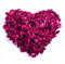 HXJDAM 60g-Pétales de roses séchées naturelles vraies fleurs séchées rouges pour bain de pieds, bain, Spa, papier de couleur de mariage, rendez - vous DIY, demande en mariage
