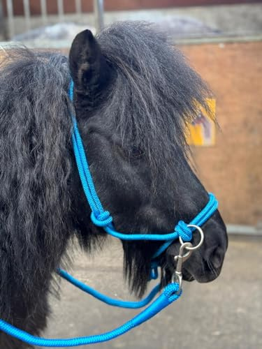 Cavezza in corda con redini per l'utilizzo di Bitless Horse Riding Full to Mini Shet 5 colori (Sky, Pony)