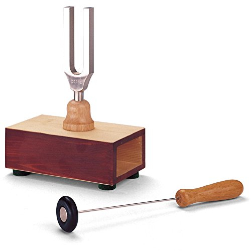 3B Scientific Stimmgabel, 440 Hz, auf Resonanzkasten